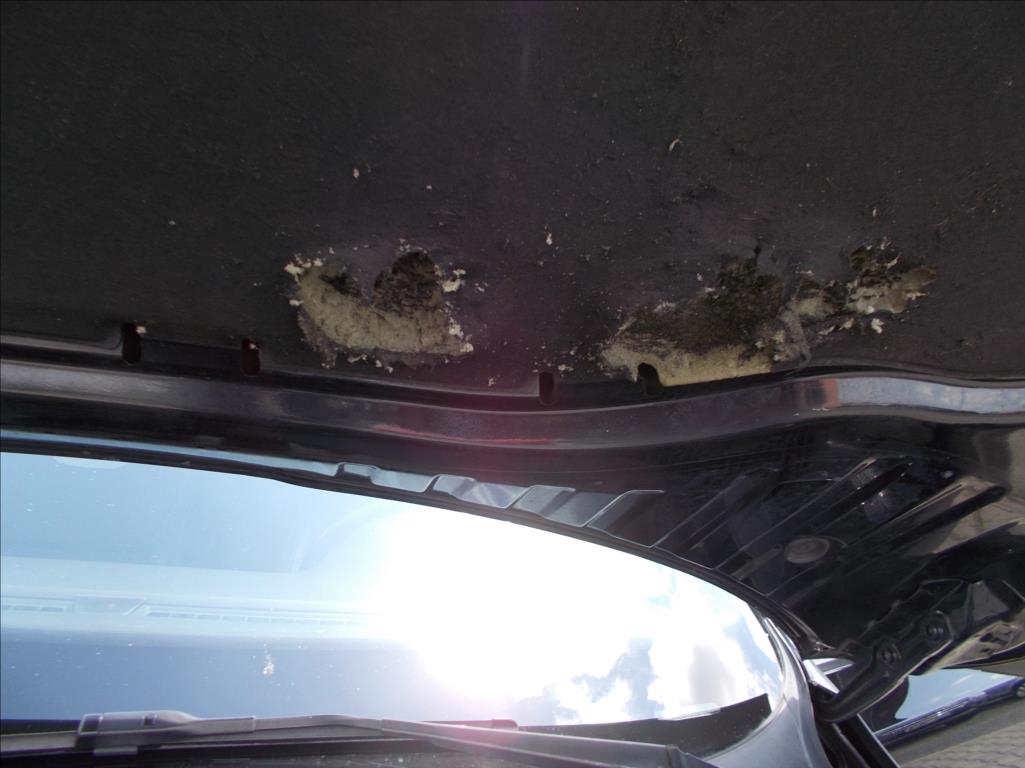 Škoda Octavia 2,0 TDI RS MANUÁL DIGIKLIMA XENONY PĚKNÉ  III - foto 31